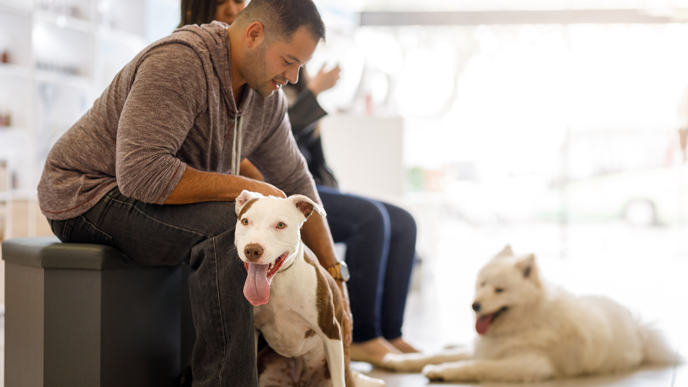 Captive Audience Advertising: The Enterprise Strategy for Guaranteed Attention