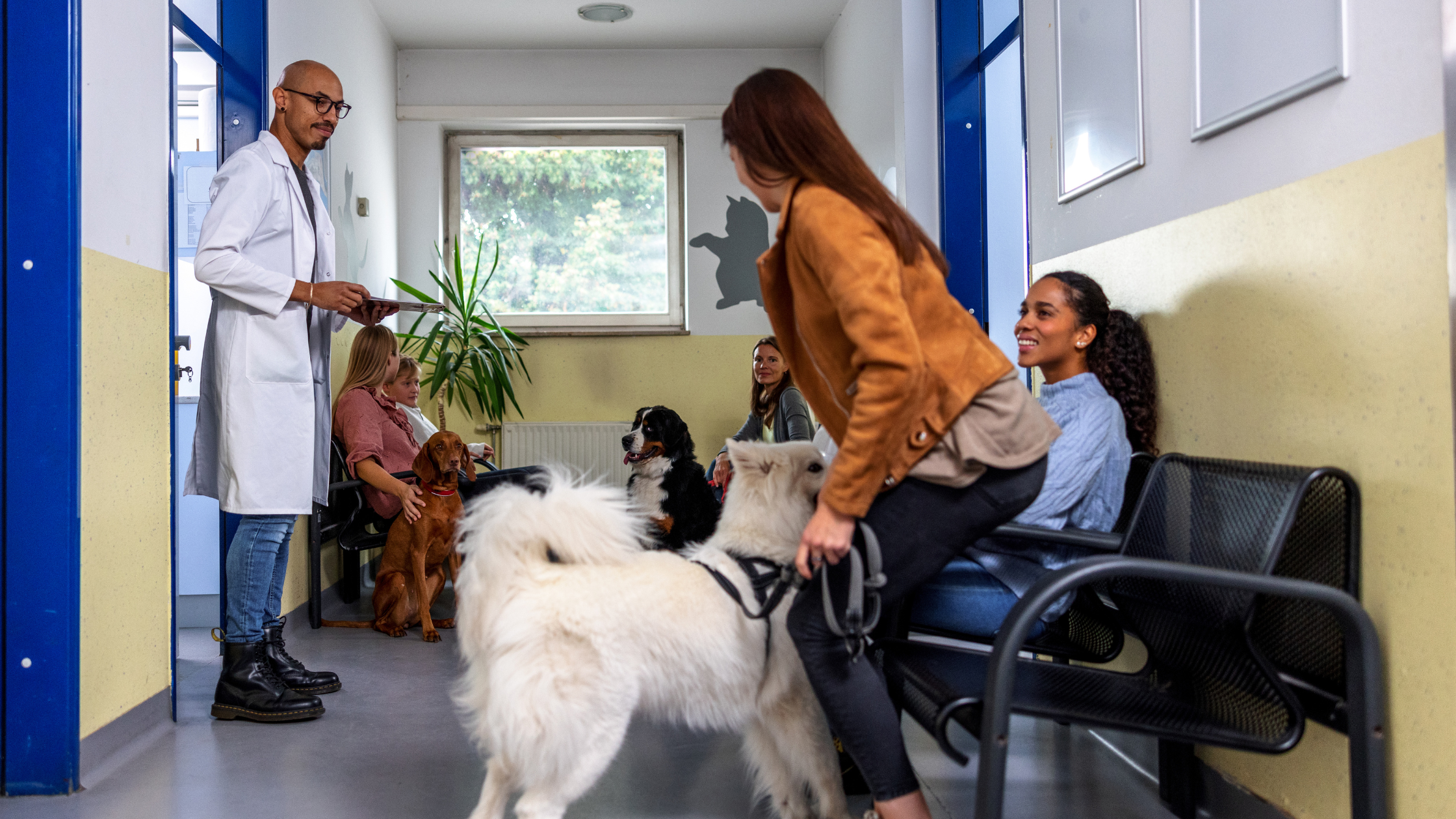 Captive Audience Pet Advertising: How Agencies Win the Attention Battle