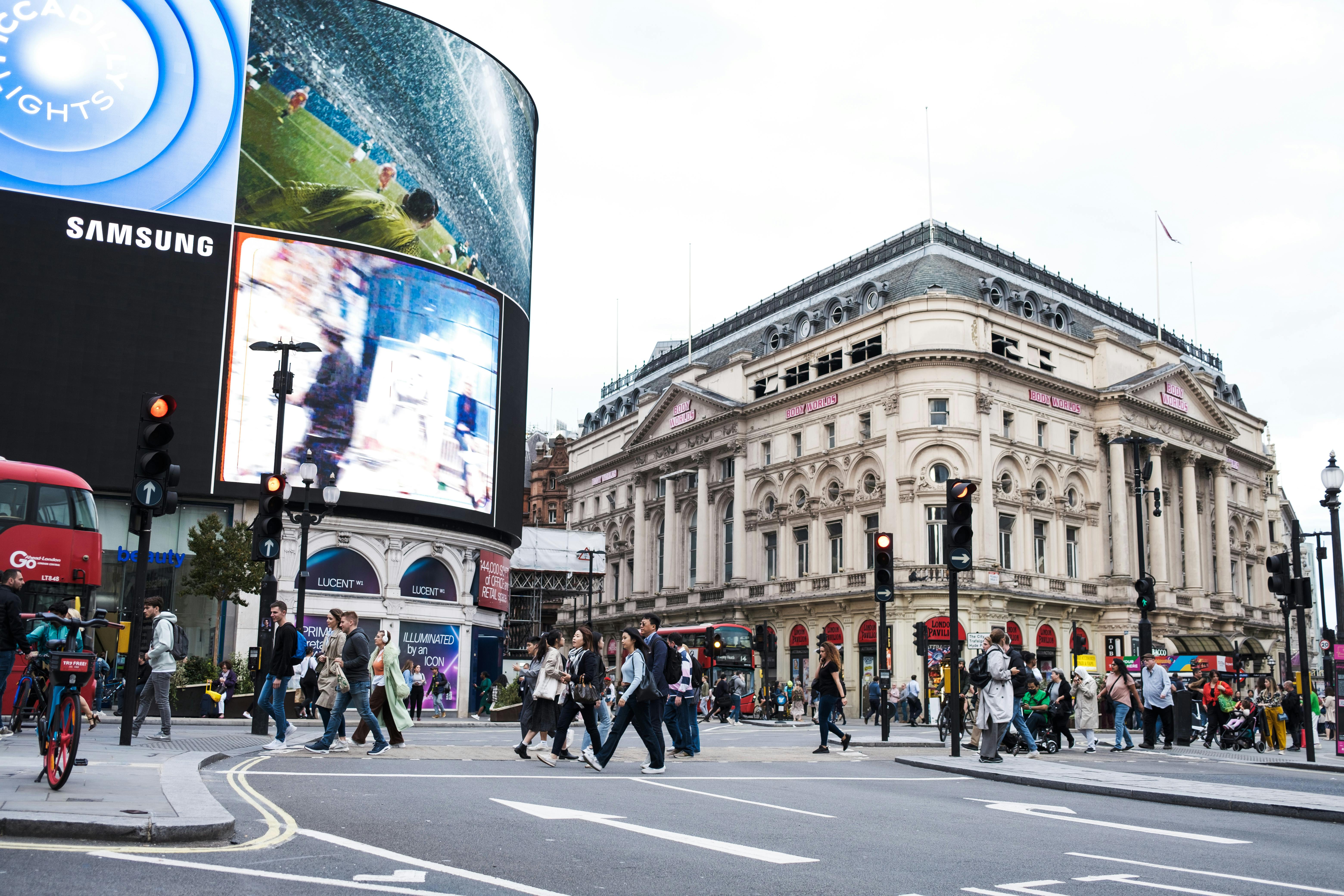 Digital Out of Home Media in the Pet Industry: A Guide for Enterprise Brands