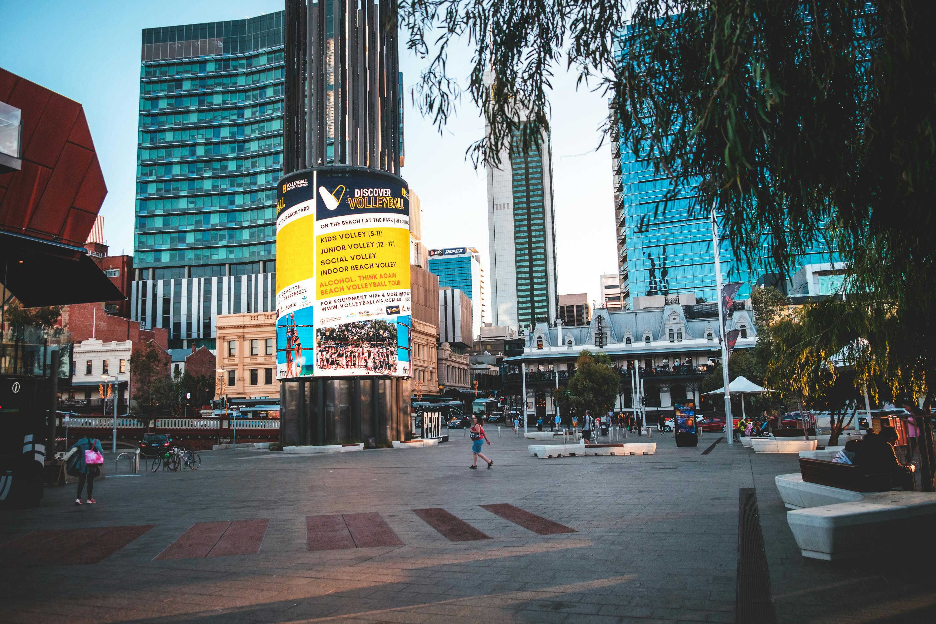 DOOH Advertising for Pet Brands: Why It Outperforms Every Other Channel