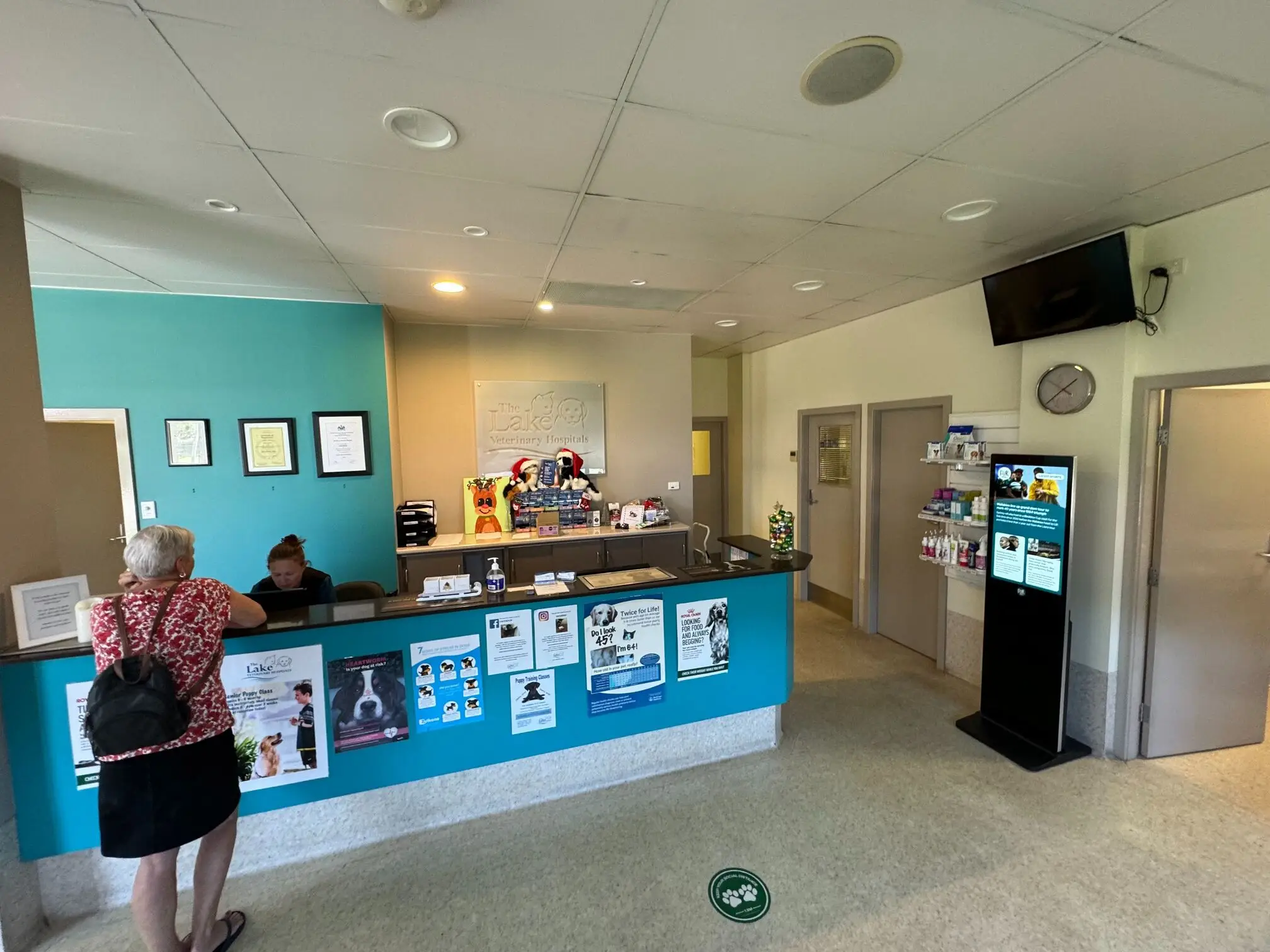 Should I Get Pet Insurance? What You Need to Know