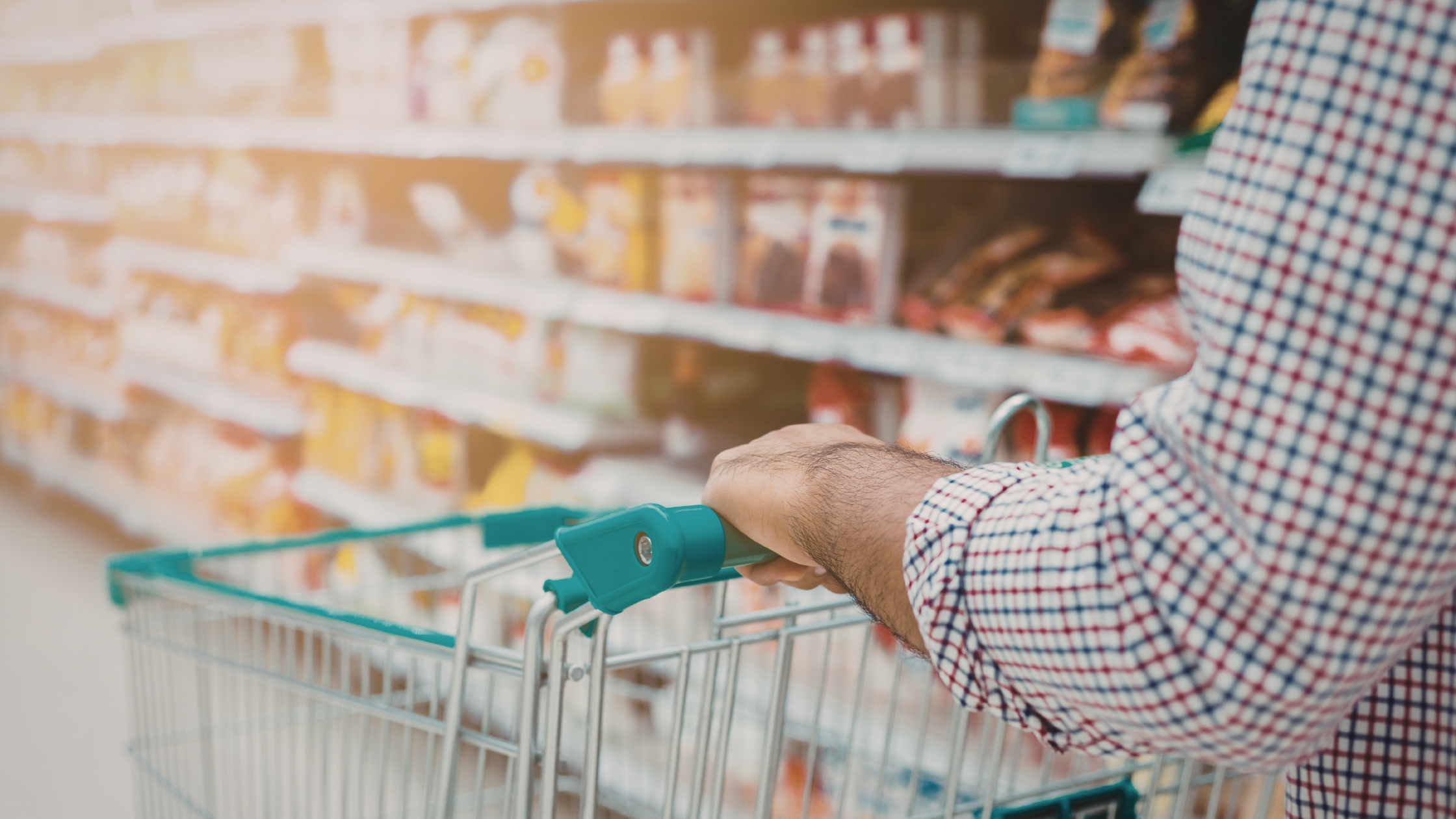 Where to Advertise Pet Products: A Channel-by-Channel Breakdown